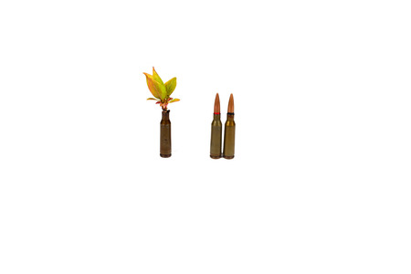 Bullets for weapons with a plantの写真素材