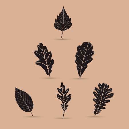 Set of leafs, silhouettesのイラスト素材