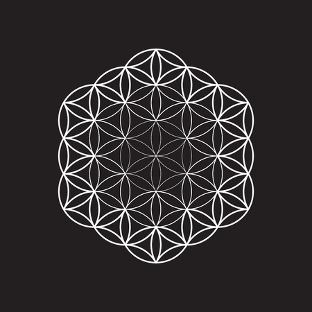 Flower of life, vector illustration EPS 10のイラスト素材