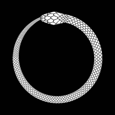 Ouroboros icon, detailed symbol of snake eating its own tail. White vector illustration EPS 10