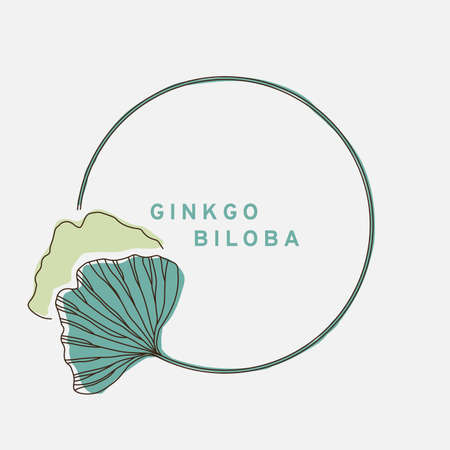 Ginkgo biloba, circle frame with place for your text or design. Vector illustration, EPS 10のイラスト素材