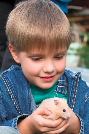young boy with pet (hamster)の写真素材