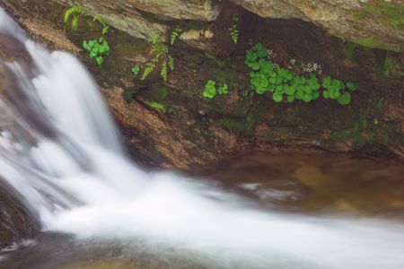 stream with waterfallの写真素材