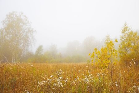 Autumn landscape. Foggy morning on the lake.の写真素材