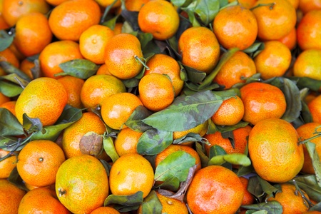 close up photo of fresh tangerine backgroundの写真素材