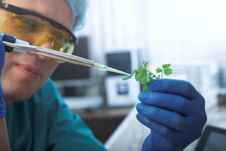 scientist with green plant in modern laboratoryの写真素材