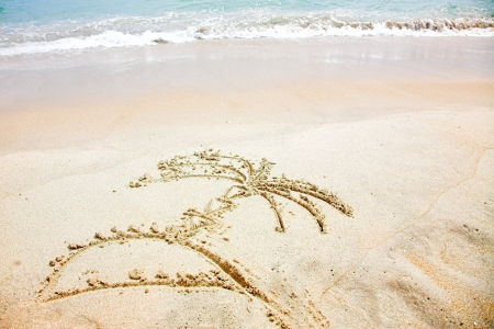 palm islet - picture on the sandy beachの写真素材