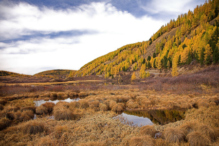 Beautiful view of autumn forest in the mountains. Autumn colorful landscape.