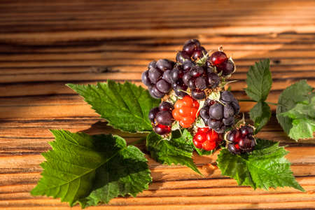 Blackberry With Leaves on the Wood Tableの写真素材