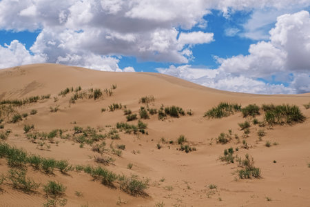 Barkhans in Mongolia. Sandy dune desert Mongol Els near lake Durgen Nuur. Khovd province, Western Mongolia.の写真素材