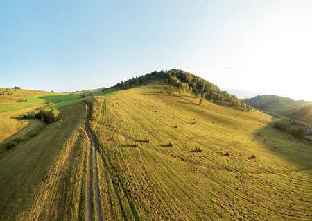 Drone view of autumn meadow hiils and forest. Aerial nature shot. Altai regoin, Russiaの写真素材