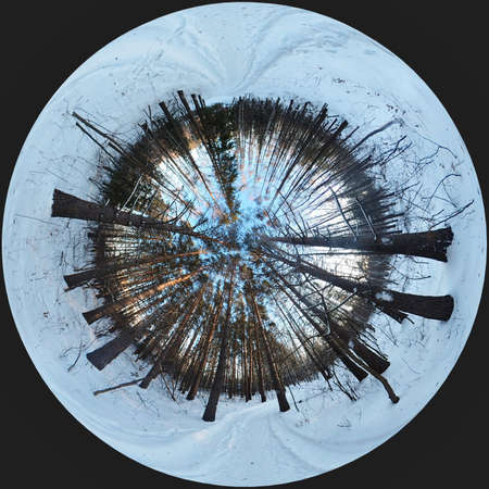 Majestic rabbit hole view of winter forest in Siberia. 360 panorama