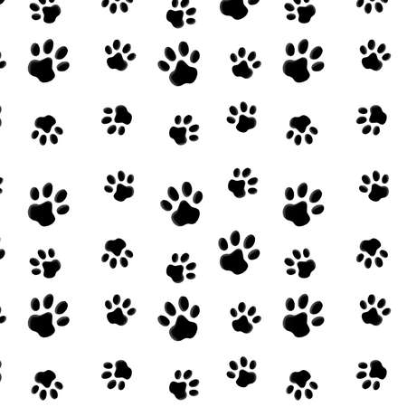 Digital dog footprints on white background.の写真素材