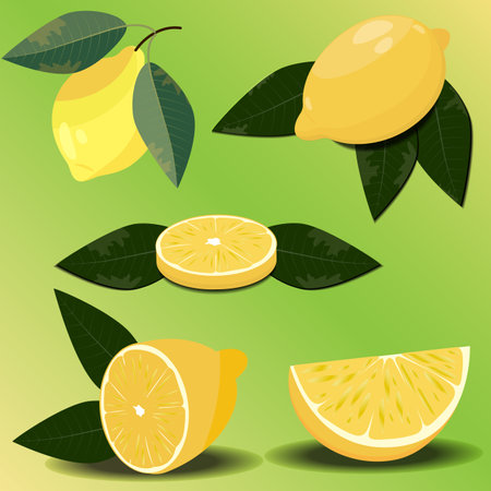 Realistic lemon in different angles on a green background. Vector setのイラスト素材