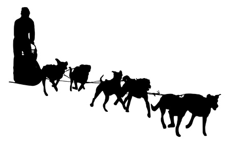 illustration of a dog sleddingの写真素材