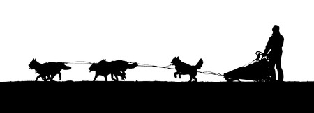 silhouette of a dogs pulling sleds on white backgroundの写真素材