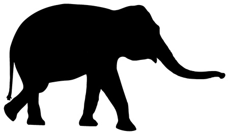 silhouette of a elephant on white backgroundのイラスト素材