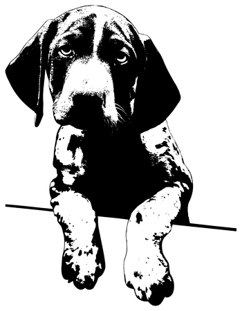 cute puppy with a sad lookのイラスト素材