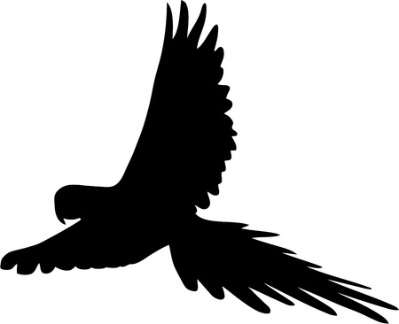 silhouette of flying parrotのイラスト素材