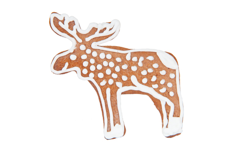 gingerbread homemade cookies Elk on white backgroundの写真素材