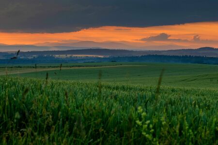 green field with red sunset and mountains on horizonの写真素材
