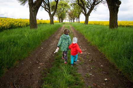 children holding hands walk the path in the alley of trees and fieldsの写真素材