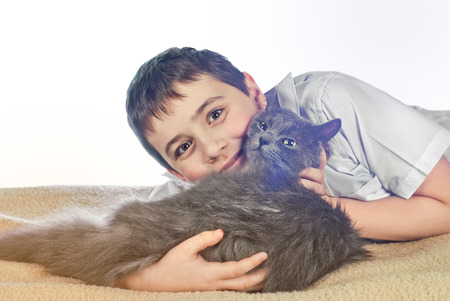 Boy with a gray cat on a white backgroundの写真素材