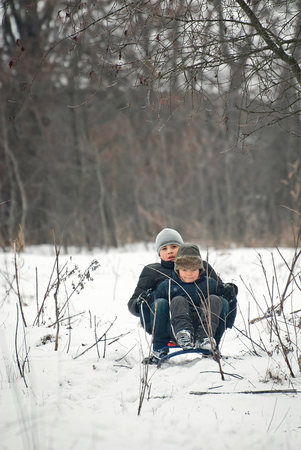 children are riding sledges in winter in the fresh air, on holidaysの写真素材