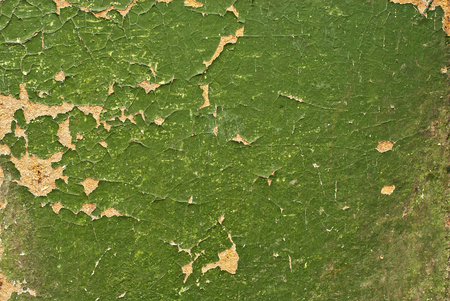 Texture of old wood with cracked paint of green colorの写真素材