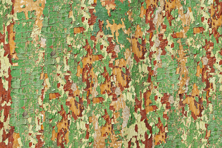 Texture of old wood with cracked paint of green colorの写真素材