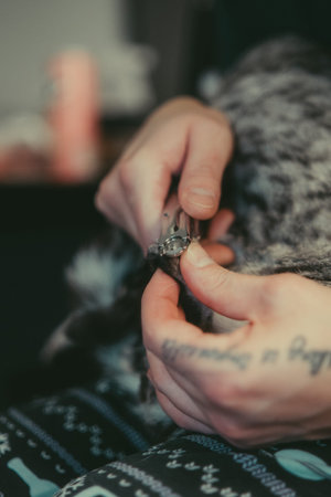 Close up of a woman's hands.の写真素材