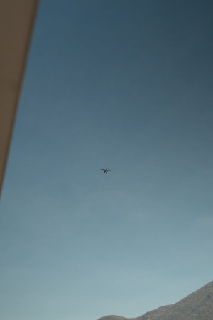 A bird flies in the blue sky.