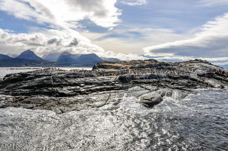 Island of seals and sea lions, Beagle Channel, Ushuaia, Argentinaの写真素材