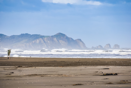 Beach in the national park, Chiloe Island, Patagonia, Chileの写真素材