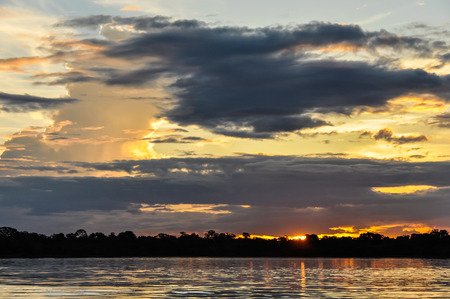 Sunset in the Amazon Rainforest, close to Manaus, Brazilの写真素材