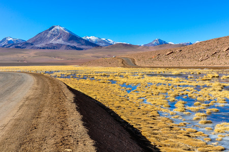 Colorful volcanic landscape in the Atacama Desert in Chile