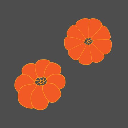 Two pumpkins. Hand drawing sketch. Orange outline on grey background.のイラスト素材
