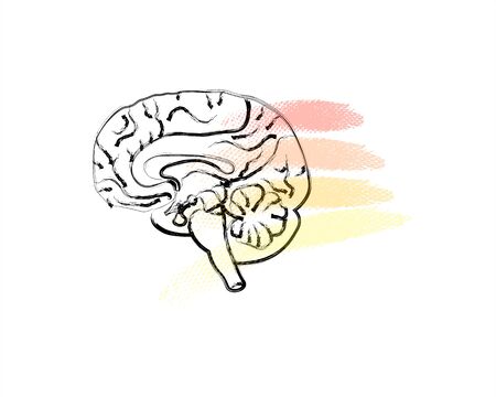 World Mental Health Day background. Brain with colorful lines. Line art doodle sketch. Black outline on white background.のイラスト素材