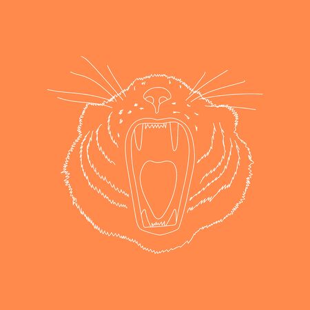 Tigers head. Line art doodle sketch. White outline on orange background. Background can be used in greeting cards, posters, flyers, banners and etc. Vector illustration. EPS10のイラスト素材