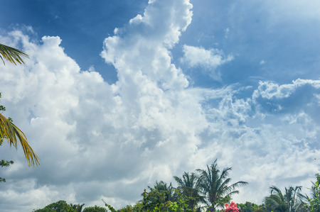 Blue sky and clouds. Summer day background.の写真素材
