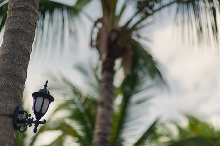 Tropical Paradise in Dominican Republic or Seychelles or Caribbean, Mauritius or Philippines or Bahamas. Relaxing on remote Paradise beach.の写真素材