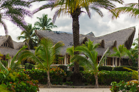 Tropical Paradise. Dominican Republic, Seychelles, Caribbean, Mauritius, Philippines, Bahamas. Relaxing on remote Paradise beach.の写真素材