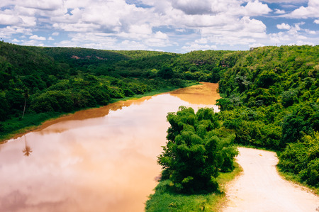 Tropical river Chavon in Dominican Republicの写真素材