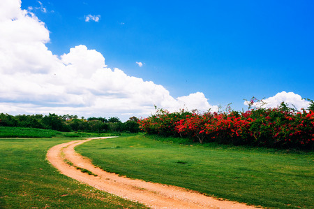Green Grass Field Landscape with fantastic clouds in the background. Summer landscape with green grass, road and clouds in Dominican republicの写真素材
