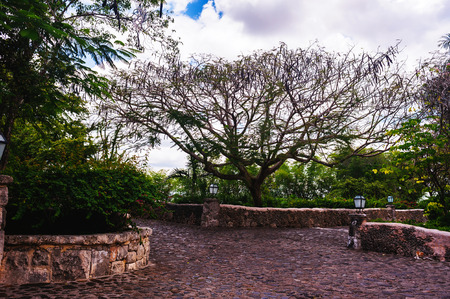 Road in park. Ancient village Altos de Chavon - Colonial town reconstructed in Dominican Republic.の写真素材