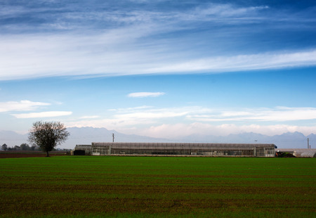 Tuscany - typical scenic landscape, Italy. farm countrysideのeditorial素材