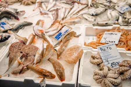 Bari, Puglia, Italy - 07 November, 2018: freshly caught fish, to be sold to customers on the pier of...