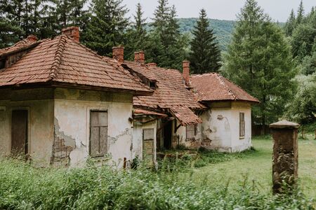Rural landscape with lush green fields and farm houseの写真素材