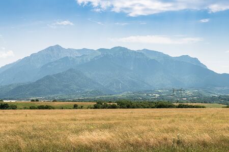 Green meadow on the background of the mountains.の写真素材