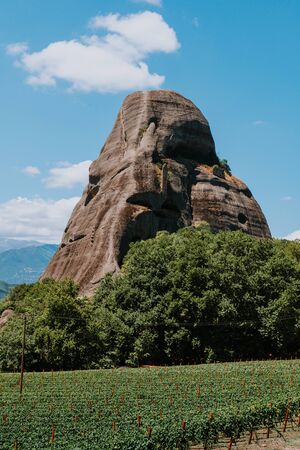 A scenic valley vineyard at the base of a mountain. Vineyards against awesome mountains. Greeceの写真素材